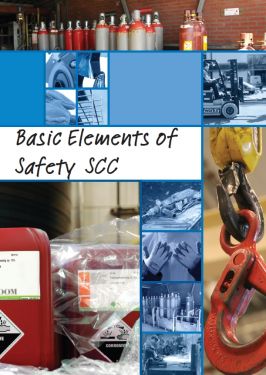 Lesboek VCA-Basis Engels